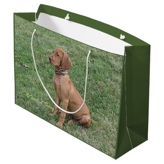 Vizsla Gift Bag Groot Cadeauzakje (Achterkant Gekanteld)