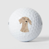 Vizsla Golfballen (Voorkant)