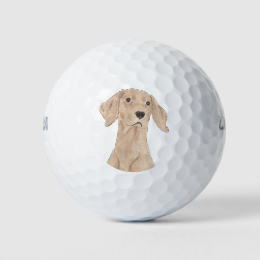 Vizsla Golfballen (Voorkant)