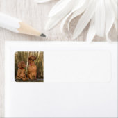 Vizsla groep etiket (Insitu)