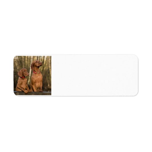 Vizsla groep etiket (Voorkant)