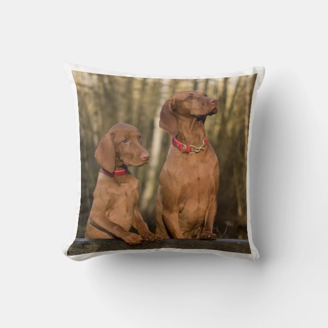 Vizsla groep kussen (Voorkant)