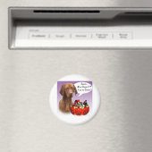 Vizsla Halloween Snoep Magneet (Insitu (Vaatwasser))