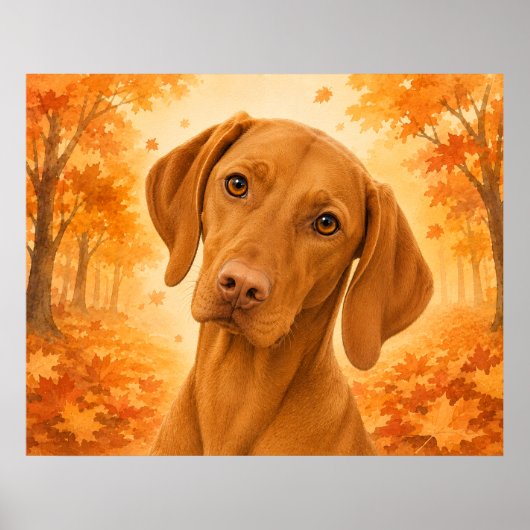 Vizsla Herfst Bos Hond Poster (Voorkant)