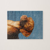 Vizsla hond - Hongaarse hond Legpuzzel (Horizontaal)