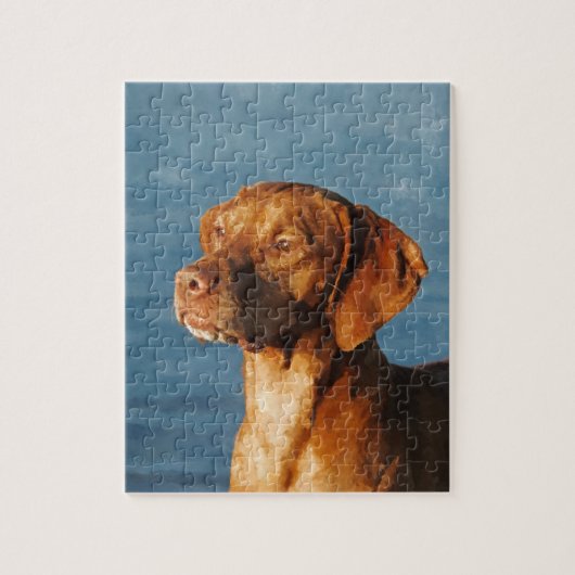 Vizsla hond - Hongaarse hond Legpuzzel (Verticaal)