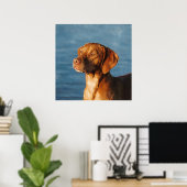 Vizsla hond - Hongaarse hond Poster (Thuiskantoor)