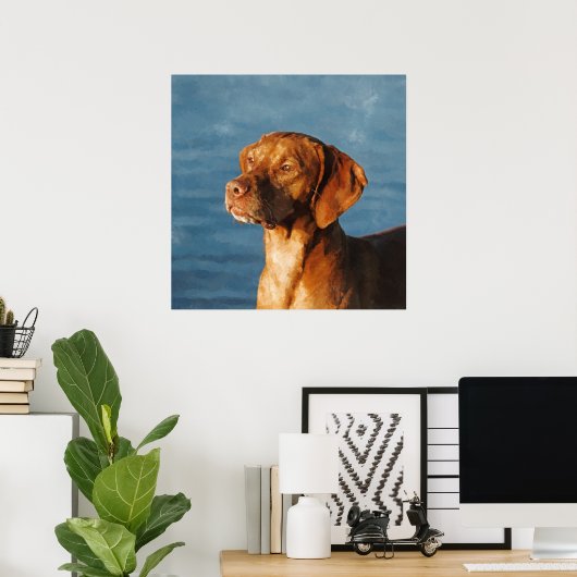 Vizsla hond - Hongaarse hond Poster (Thuiskantoor)
