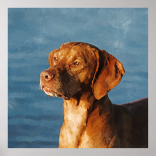 Vizsla hond - Hongaarse hond Poster