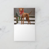 Vizsla Hond in Sneeuw Kerstmis Kaart (Binnen)