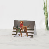 Vizsla Hond in Sneeuw Kerstmis Kaart (Voorkant)