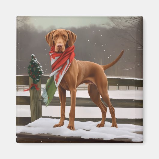 Vizsla Hond in Sneeuw Kerstmis Magneet (Voorkant)