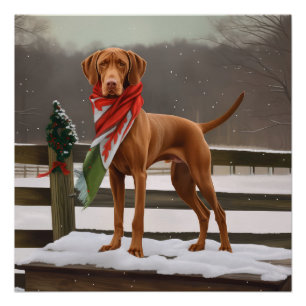 Vizsla Hond in Sneeuw Kerstmis Perfect Poster