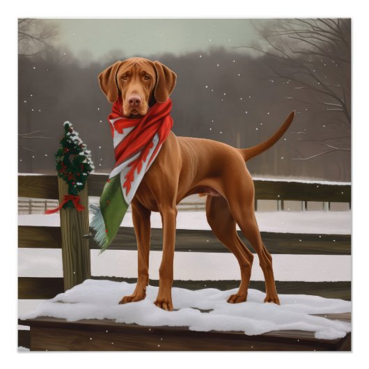 Vizsla Hond in Sneeuw Kerstmis Perfect Poster (Voorkant)
