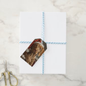 Vizsla Hond Kerstfeest Cadeaulabel (Met Touw)