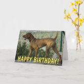 Vizsla hond verjaardagskaart kaart (Gele Bloem)