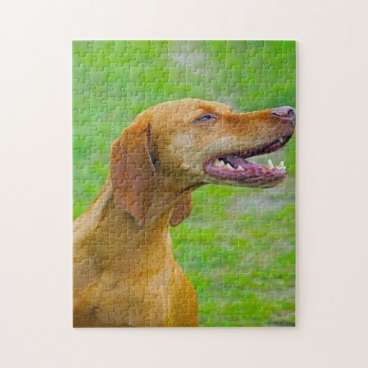 Vizsla-hondenlegpuzzels. Legpuzzel (Verticaal)
