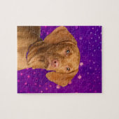 Vizsla - Hongaarse aanwijzerpupil op paars Legpuzzel (Horizontaal)