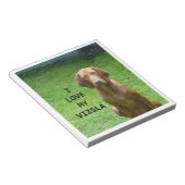 vizsla houdt van notitieblok (Schuin)