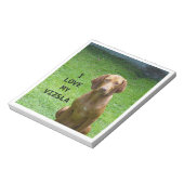vizsla houdt van notitieblok (Linkerzijde)