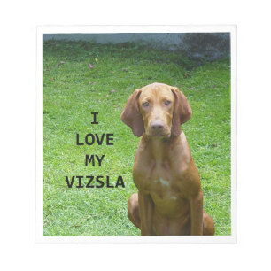 vizsla houdt van notitieblok