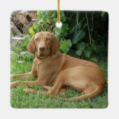 Vizsla Hound Dog Keramisch Ornament (Achterkant)