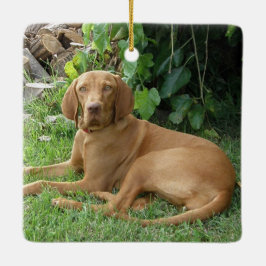 Vizsla Hound Dog Keramisch Ornament