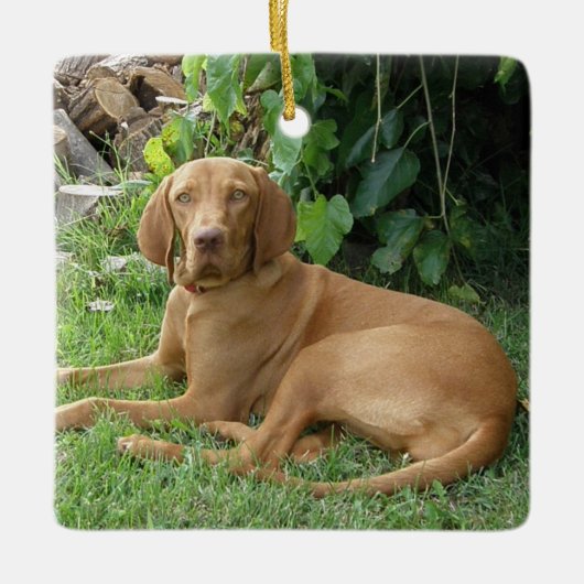 Vizsla Hound Dog Keramisch Ornament (Voorkant)
