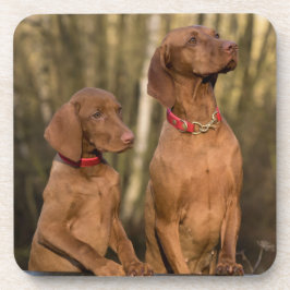 Vizsla Hound Dogs - Hunting Hounds - Bier Onderzetter