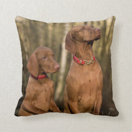 Vizsla Hound Dogs - Hunting Hounds - Kussen