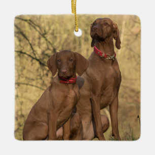 Vizsla Hound Dogs Keramisch Ornament