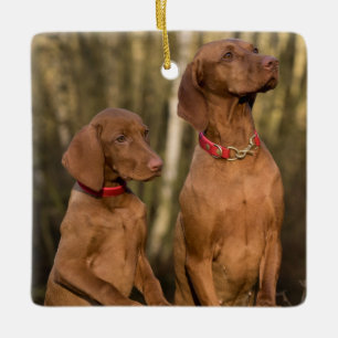 Vizsla Hound Dogs Keramisch Ornament