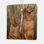 Vizsla Houndhonden Keramisch Ornament (Links)