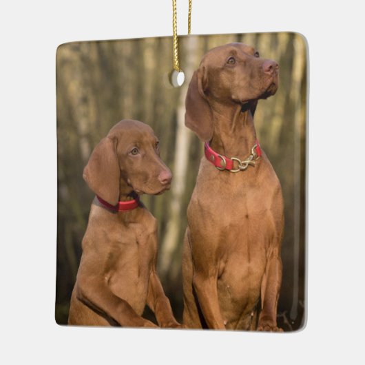 Vizsla Houndhonden Keramisch Ornament (Links)