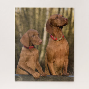 Vizsla Houndhonden Legpuzzel