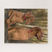 Vizsla Houndhonden Legpuzzel (Horizontaal)
