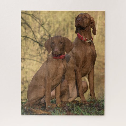 Vizsla Houndhonden Legpuzzel (Verticaal)