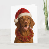 Vizsla in a Santa hat Christmas card Kaart (Voorkant)