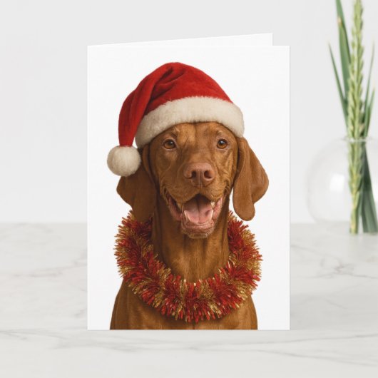 Vizsla in een kerstmuts kerstkaart kaart (Voorkant)