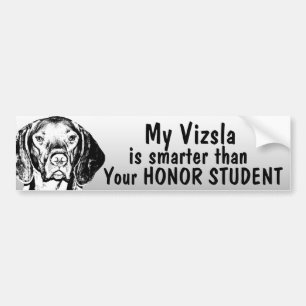 Vizsla is slimmer dan eerling student - grappig bumpersticker