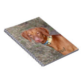 Vizsla Journal Notitieboek (Rechterzijde)