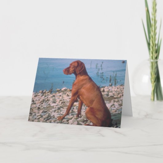 Vizsla Kaart (Voorkant)