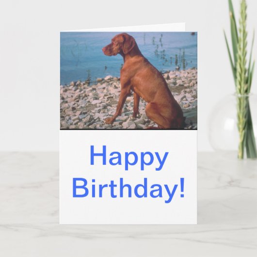 Vizsla Kaart (Voorkant)