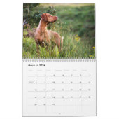 Vizsla kalender 2026 (Mar 2026)