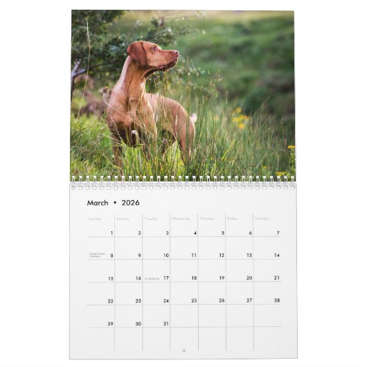 Vizsla kalender 2026 (Mar 2026)