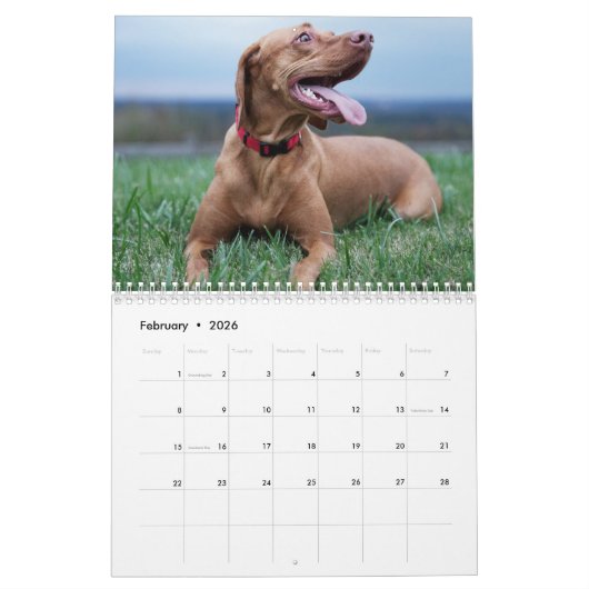 Vizsla kalender 2026 (Feb 2026)