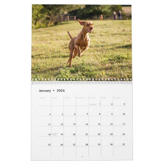 Vizsla kalender 2026 (Jan 2026)