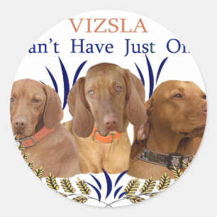Vizsla kan niet slechts één product hebben ronde sticker