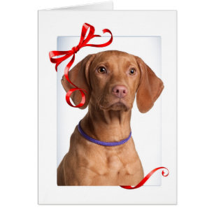 Vizsla kerstKaart