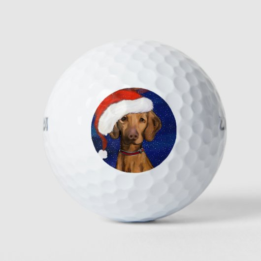 VIZSLA Kerstmis Golfballen (Voorkant)